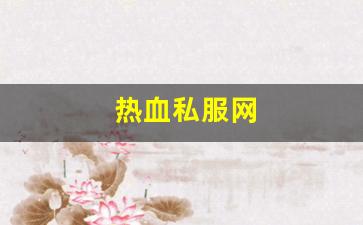 热血私服网(sf热血) (3)